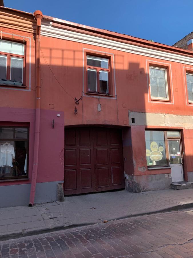 Old Studio Apartment Vilnius Esterno foto